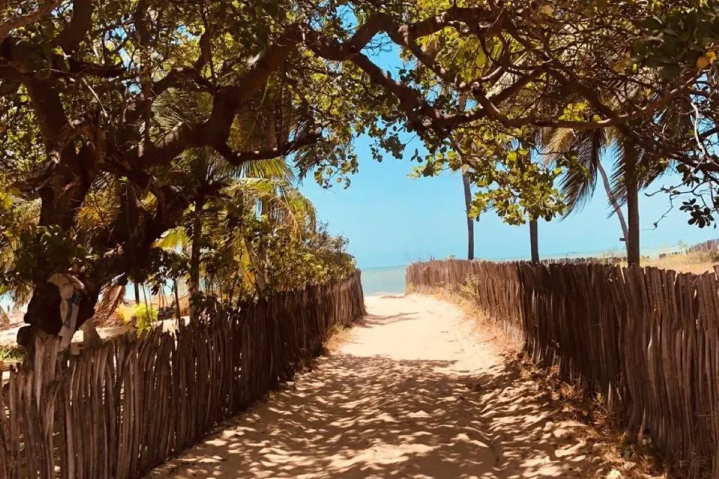 Icaraí de Amontada: Melhor Época para Visitar 32 icaraí de amontada