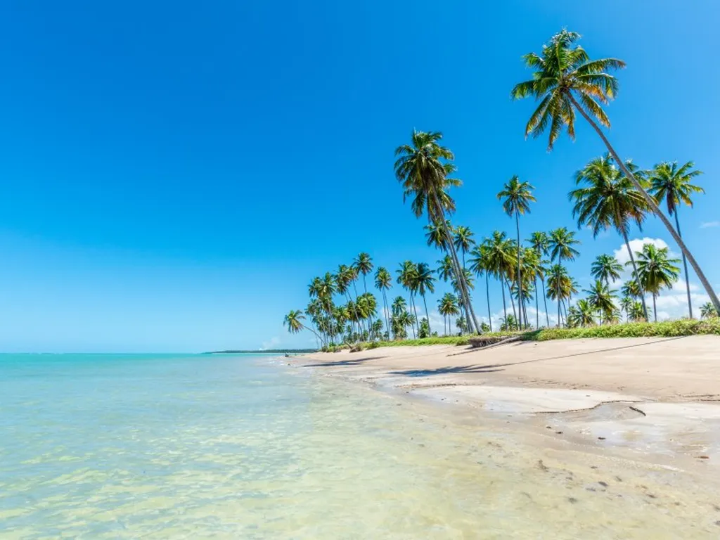 As 7 Praias Mais Bonitas do Nordeste do Brasil para Visitar em 2025 7 180079731464515dd1bc3147.50153955