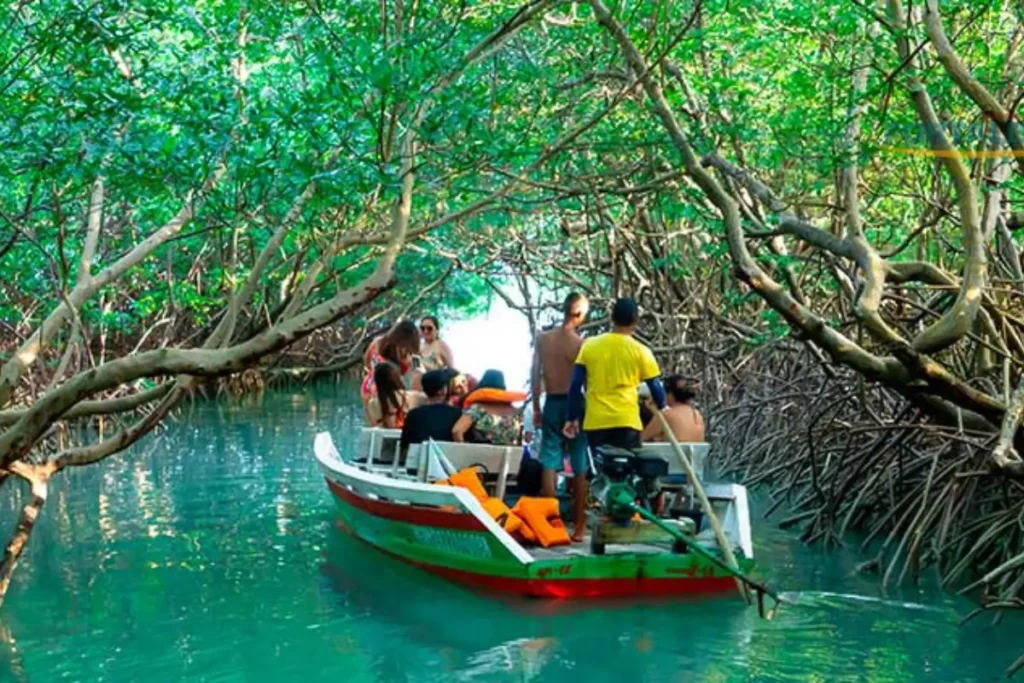 Os Melhores Passeios em Icaraí de Amontada 1 Icaraí de Amontada