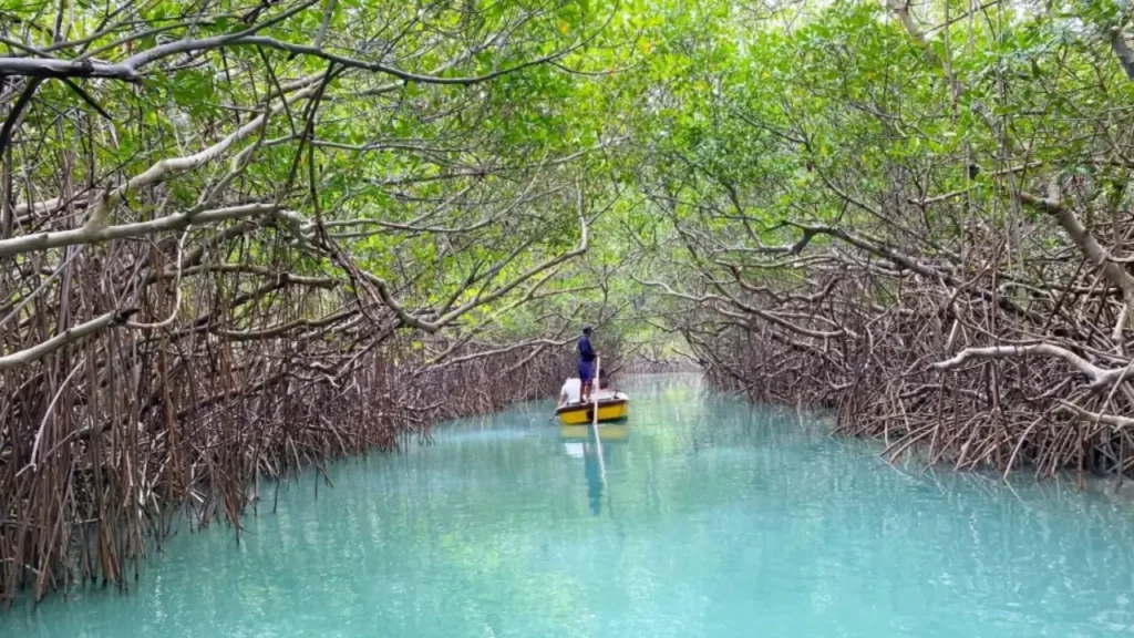 Essa vila litorânea do Ceará virou tendência entre turistas estrangeiros! 21 Pousada icaraí de amontada