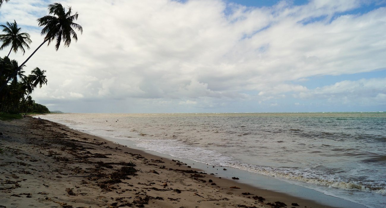 Piscinas naturais na maré baixa na Praia do Patacho, em Alagoas